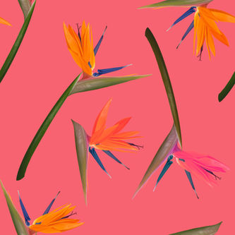 Jonas Seamless Pattern