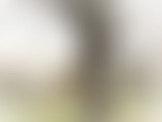 Sew a Chic Cape easy for beginners and those of you with more experience