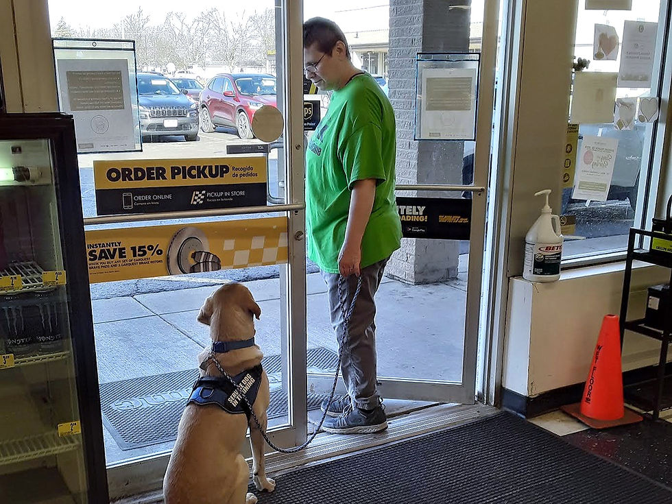 DOG OBEDIENCE COURSES Hawk Haven's Good Dog Obedience Training