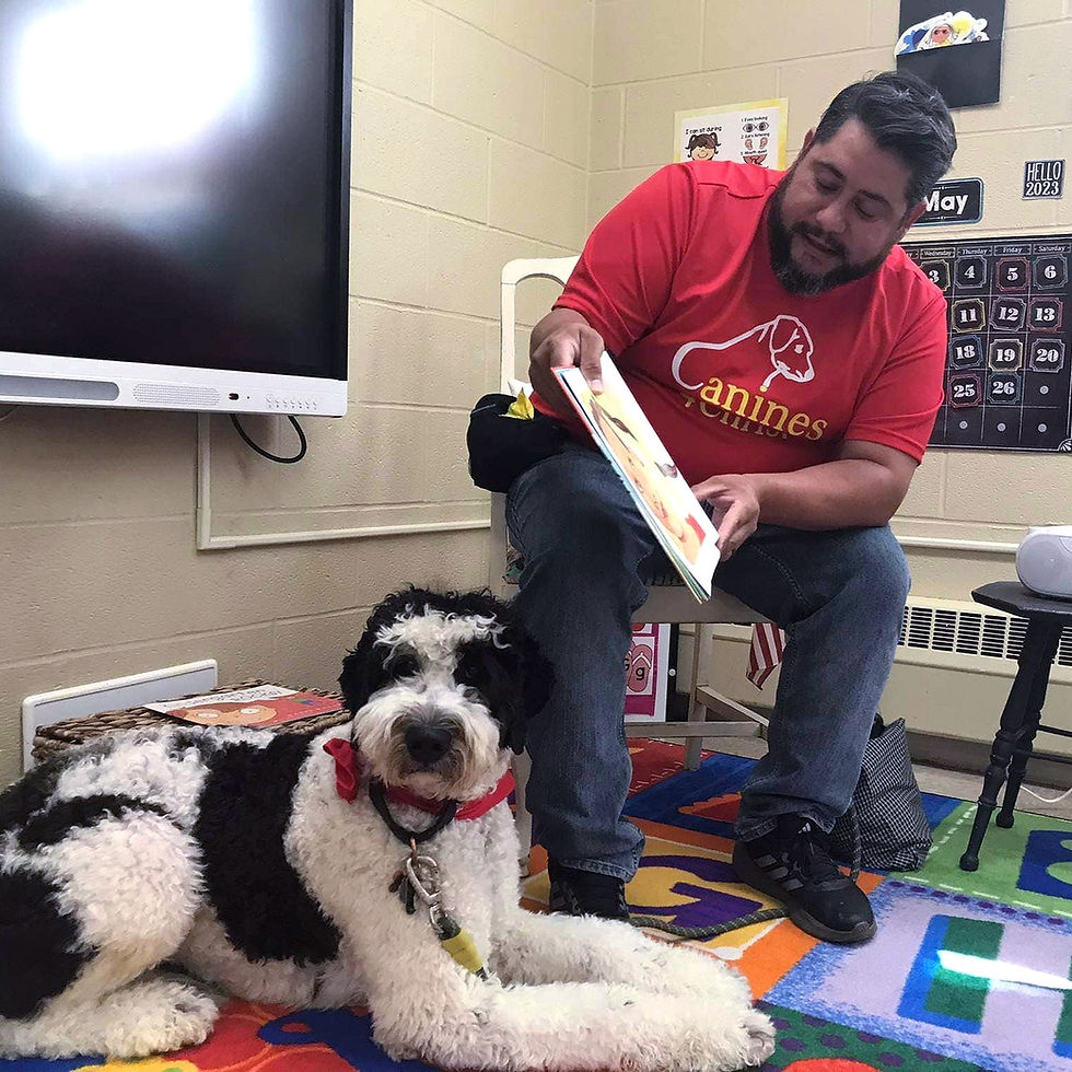 DOG OBEDIENCE COURSES Hawk Haven's Good Dog Obedience Training