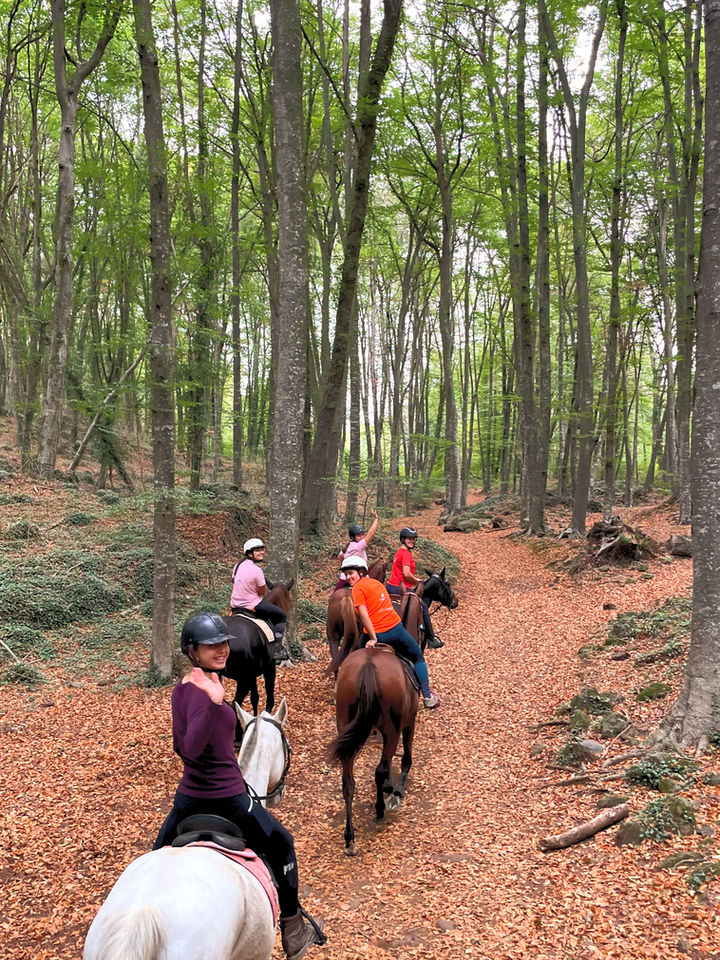Rid i skogen till häst under ridlägret i Spanien 
