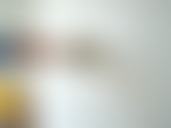 Professional Painting Services: Everything You Need to Know