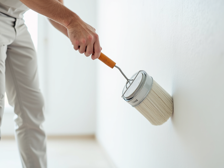 Discover Professional Painting Solutions for Your Space