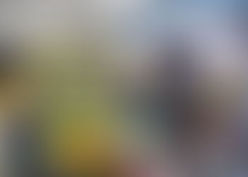 德國花藝基礎教師 考前模擬考