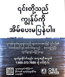 Burmese.jpg