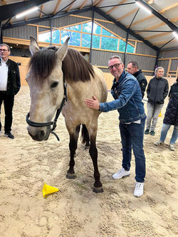 Employer Branding mit Pferdestärken