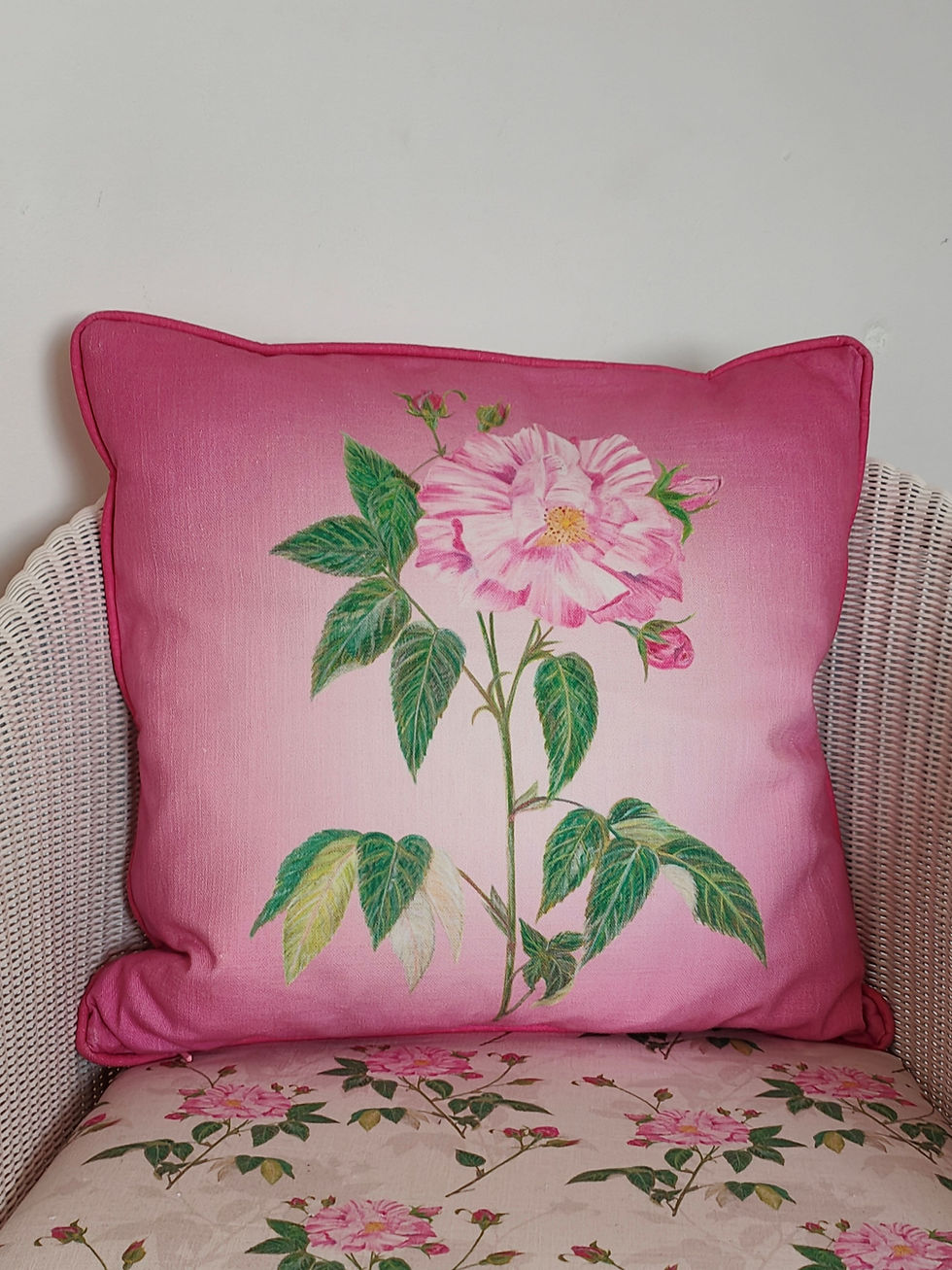 Thumbnail: Rosa Mundi Rose Deep Pink & Pale Pink Ombre Cushion