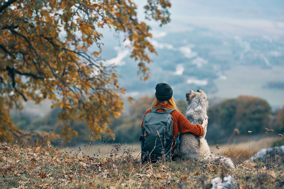 AdobeStock_243987779.jpeg
