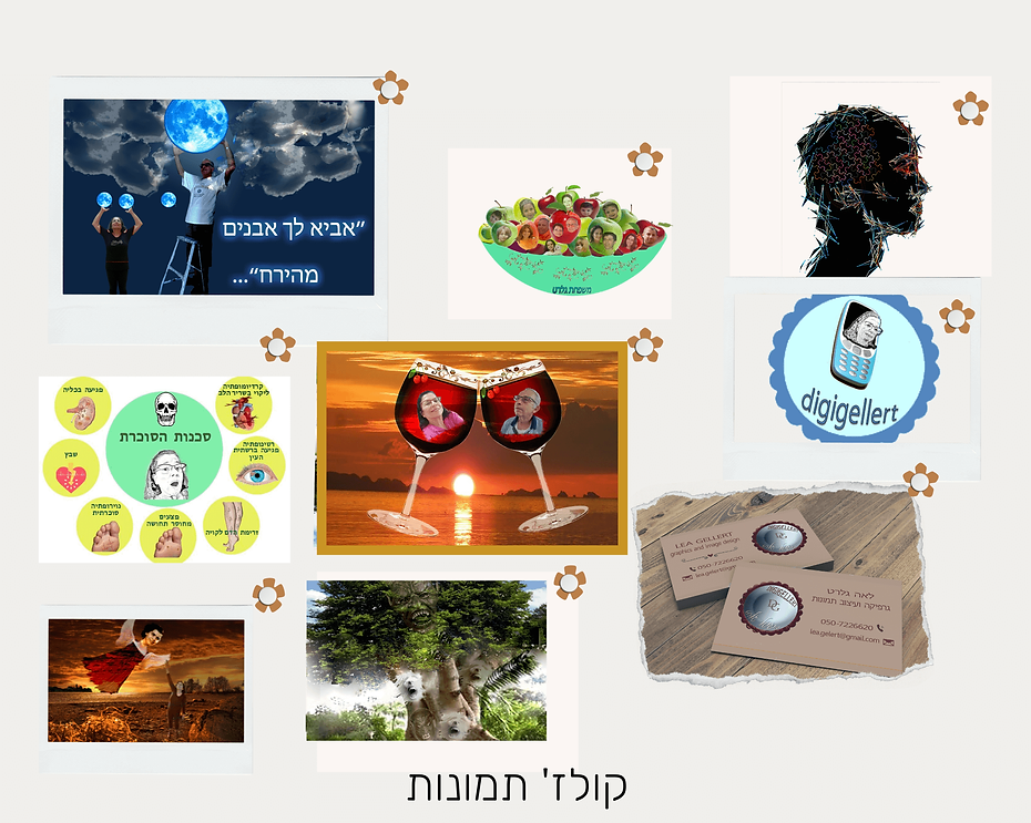 קולז' תמונות.png
