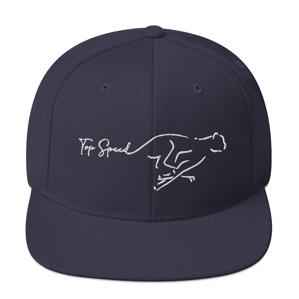 Thumbnail: Jada Atkinson Snapback Hat 