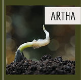 terapia ayurveda em curitiba terapia sonora em curitiba reiki em curitiba terapia ayurvedica em curitiba artha