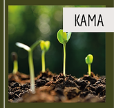 terapia ayurveda em curitiba terapia sonora em curitiba reiki em curitiba terapia ayurvedica em curitiba kama