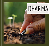 terapia ayurveda em curitiba terapia sonora em curitiba reiki em curitiba terapia ayurvedica em curitiba dharma