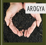 terapia ayurveda em curitiba terapia sonora em curitiba reiki em curitiba terapia ayurvedica em curitiba arogya