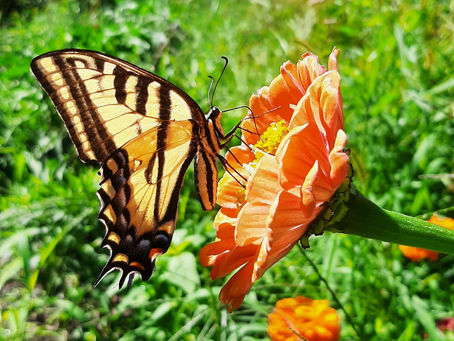 What Do You Really Mean?