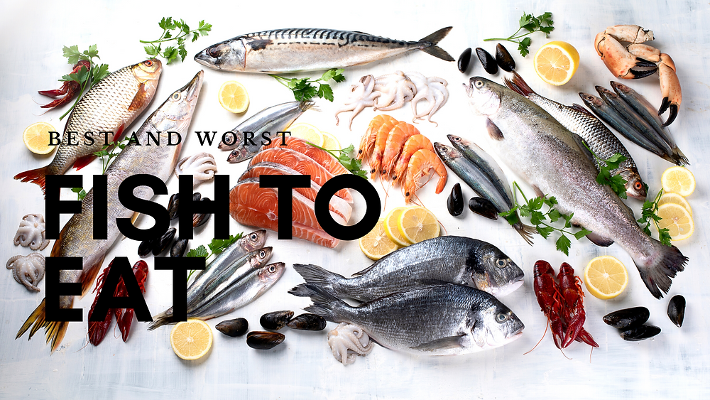The Best & Worst Fish To Eat