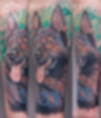 Zoe Dog Portrait