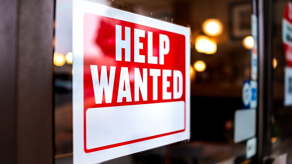Employment Law Considerations for Canadian Non-Profit Organizations – Part 1