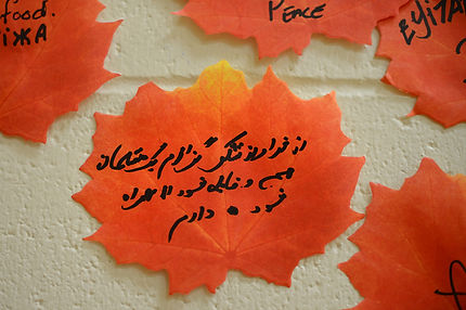 SOS 2023_1756 w.jpg