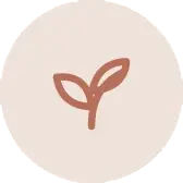 preconception-icon_remove-background.webp