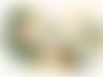 El Marco Global de Biodiversidad en clave de derechos: lo que señala el Consejo de DDHH para una implementación coherente