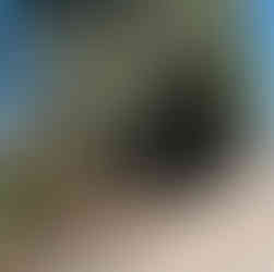 wycinka Gagarina Lubartów