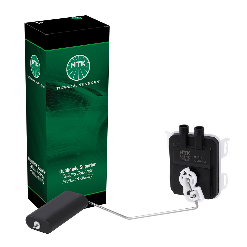 Créditos da foto: Pressmanager.net