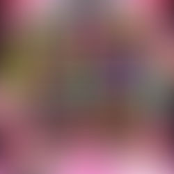 The Realness Festival revela line up com Sasha Colby e mais drags icônicas mundiais