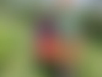 Make your voice heard against the Asylum Emergency Act