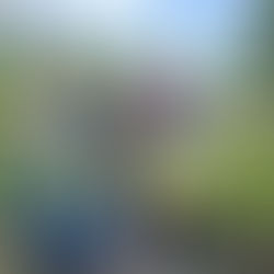 Geen Oogstfeest dit jaar