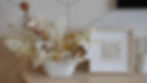 White Cotton preserved flowers vase