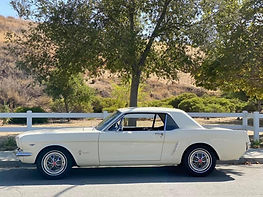 1964 | white