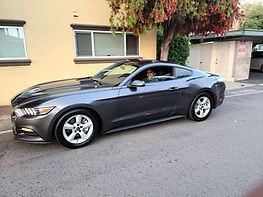 2017 | V6 | Magnetic Metallic