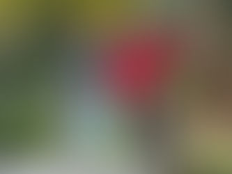 SELENA Y JUSTIN EN PRIMER VIAJE DESPUES DE RECONCILIARSE