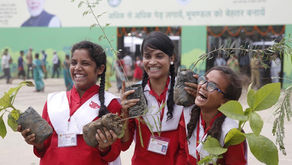 Plantan 220 millones de árboles en India en solo un día