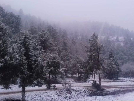REGISTRAN TEMPERATURA MĆNIMA DE 10 GRADOS BAJO CERO EN SIERRA DE DURANGO