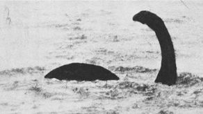 Monstruo del Lago Ness podría ser en realidad una anguila europea gigante