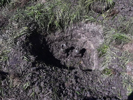 LOCALIZAN 6 TOMAS CLANDESTINAS DE HIDROCARBURO EN MICHOACĆN