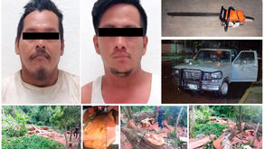 Con ejemplar castigo; dos hombres deberán plantar 3 mil árboles por ecocidio