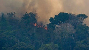 Francia amenaza a Brasil por incendios en el Amazonas 