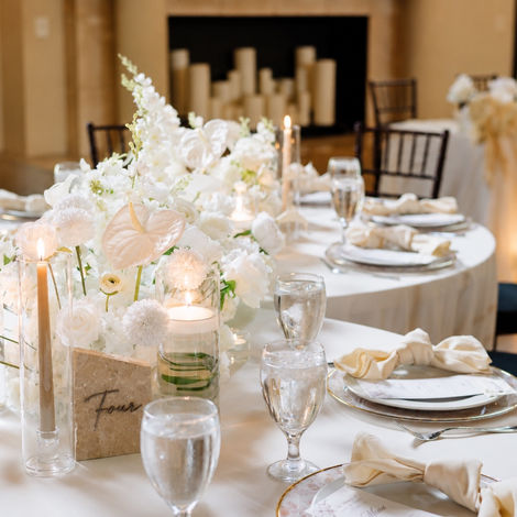 The Ivory Garden Collection