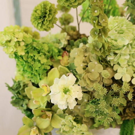 Verdant Luxe Collection