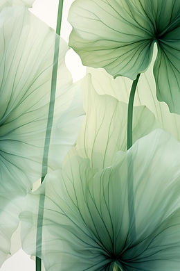 92e5e432-18a2-4adc-8c70-000f91f87a93.jfif