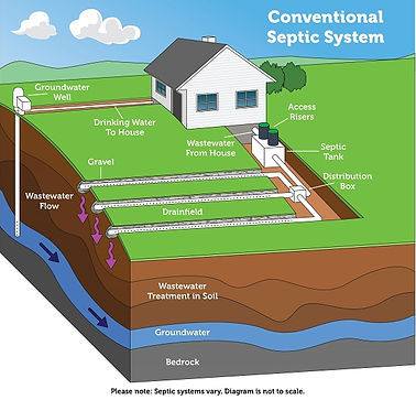 diagram of Conventional Septic system. Shows how wastewater moves from the house to the Septic tank to the distribution box to the drainfield.