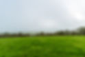 Other images Low Res-2.jpg