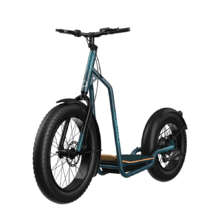 Miniatura: Bicinete Fat Bicinete