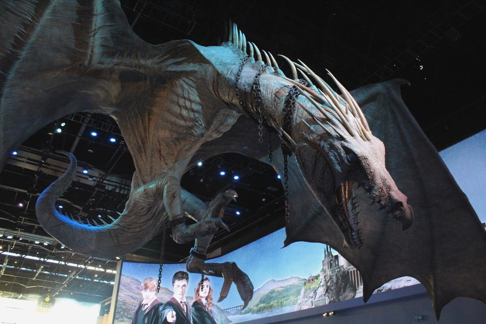 DRAGON <3