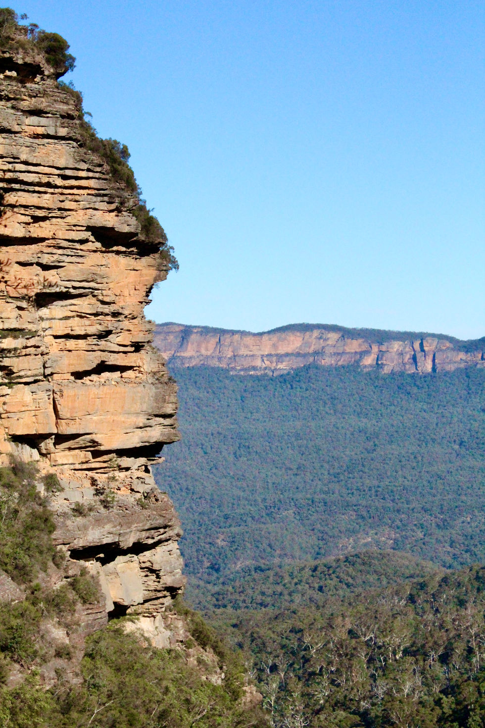 Blue Mountains