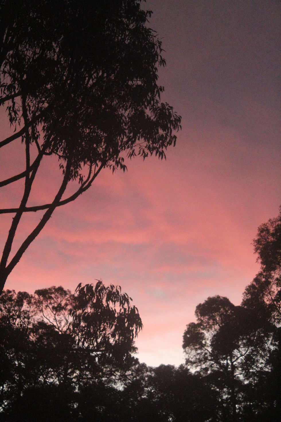 Margaret River