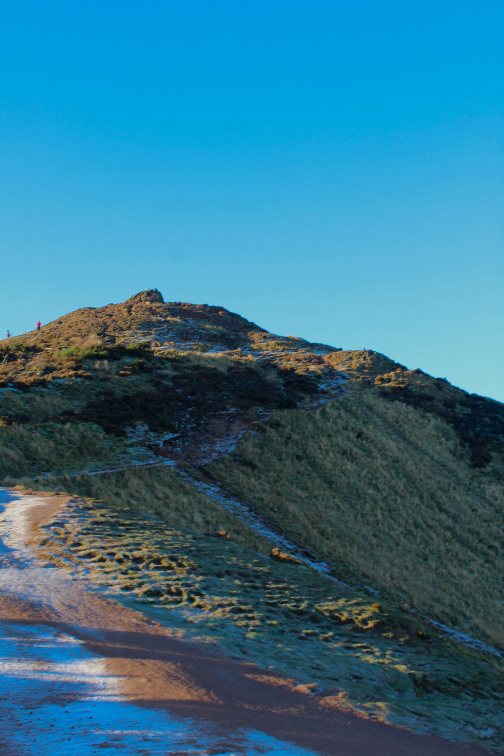Arthurs Seat